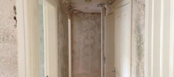 Mould Remediation in Heald Green